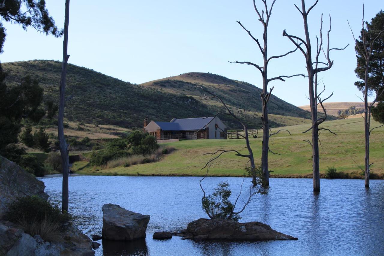 Wetlands Game Lodge Wakkerstroom Eksteriør bilde