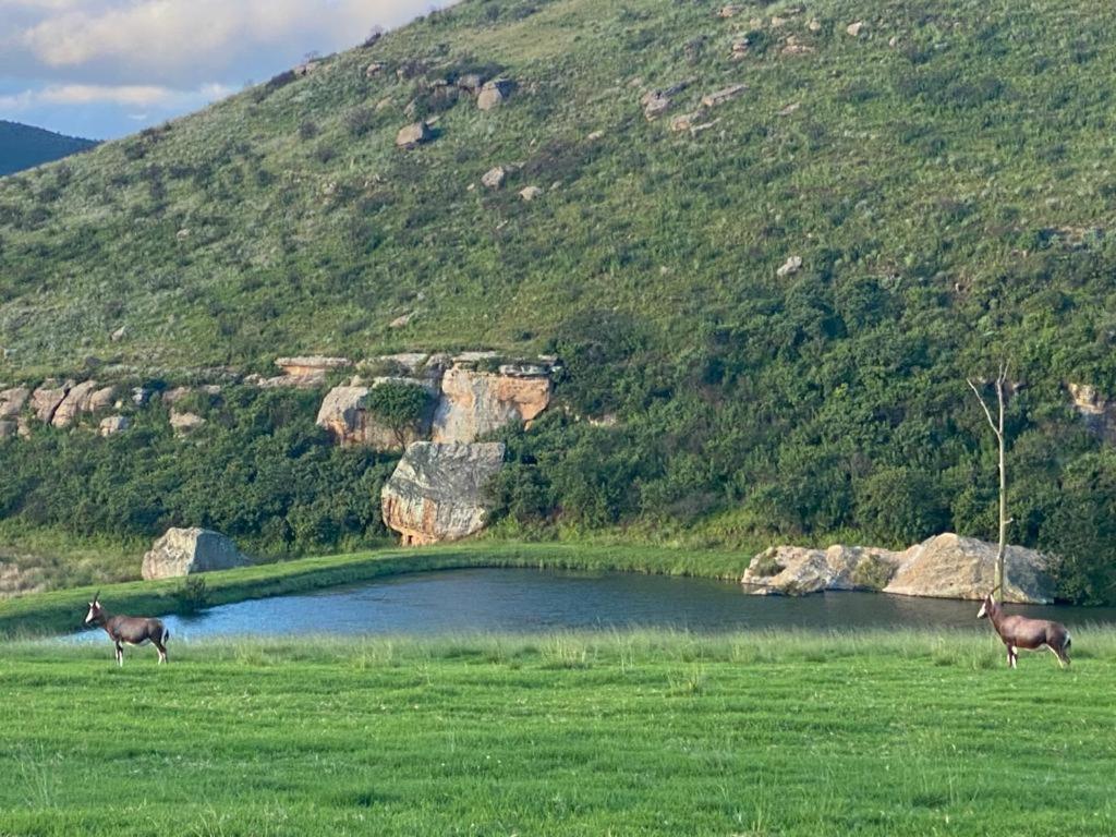 Wetlands Game Lodge Wakkerstroom Eksteriør bilde