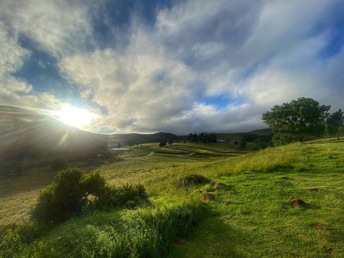 Wetlands Game Lodge Wakkerstroom Eksteriør bilde