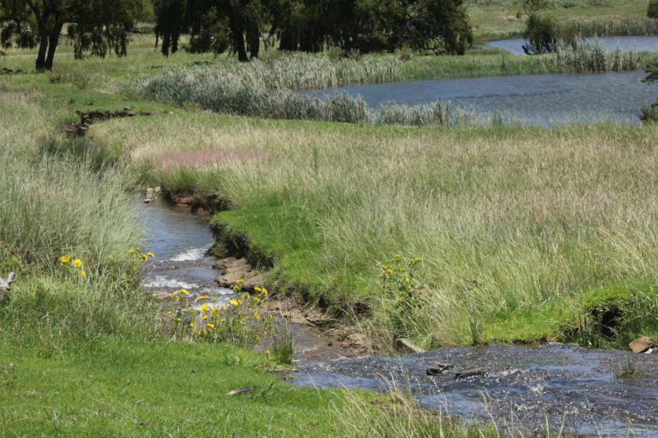 Wetlands Game Lodge Wakkerstroom Eksteriør bilde