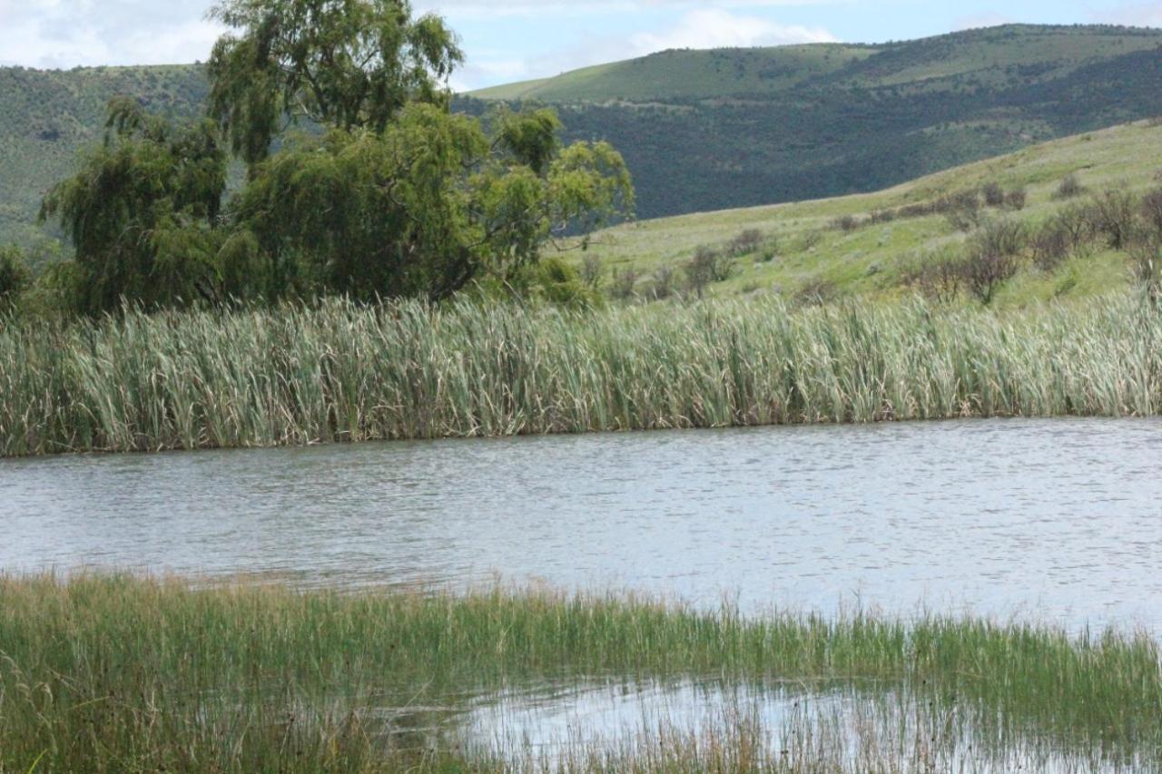 Wetlands Game Lodge Wakkerstroom Eksteriør bilde