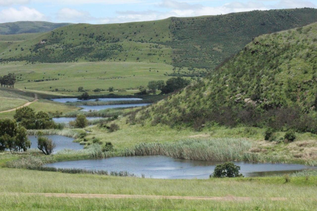 Wetlands Game Lodge Wakkerstroom Eksteriør bilde